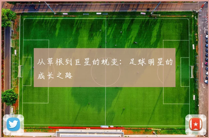 从草根到巨星的蜕变：足球明星的成长之路