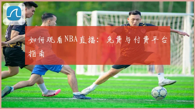 如何观看NBA直播:免费与付费平台指南