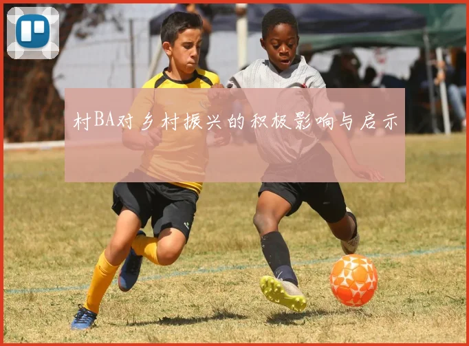 村BA对乡村振兴的积极影响与启示