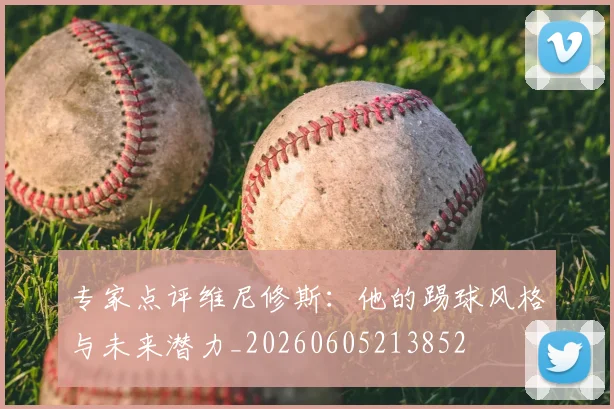 专家点评维尼修斯：他的踢球风格与未来潜力_20260605213852