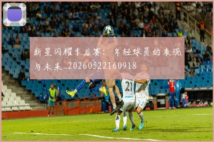 新星闪耀季后赛:年轻球员的表现与未来_20260522160918